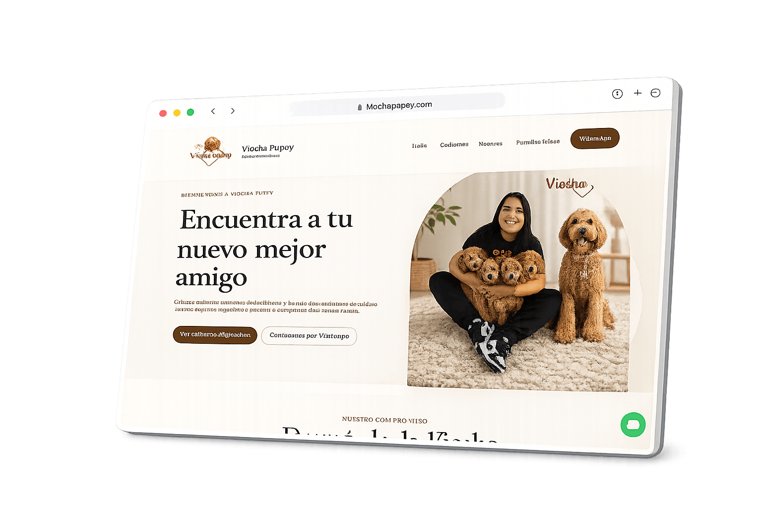 Vista previa de Viocha Puppy